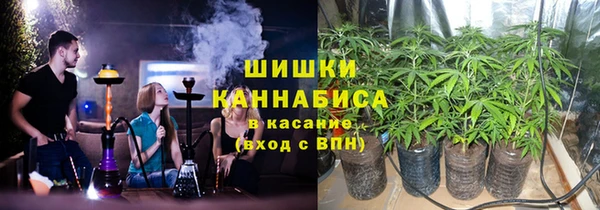 Альфа ПВП Аркадак